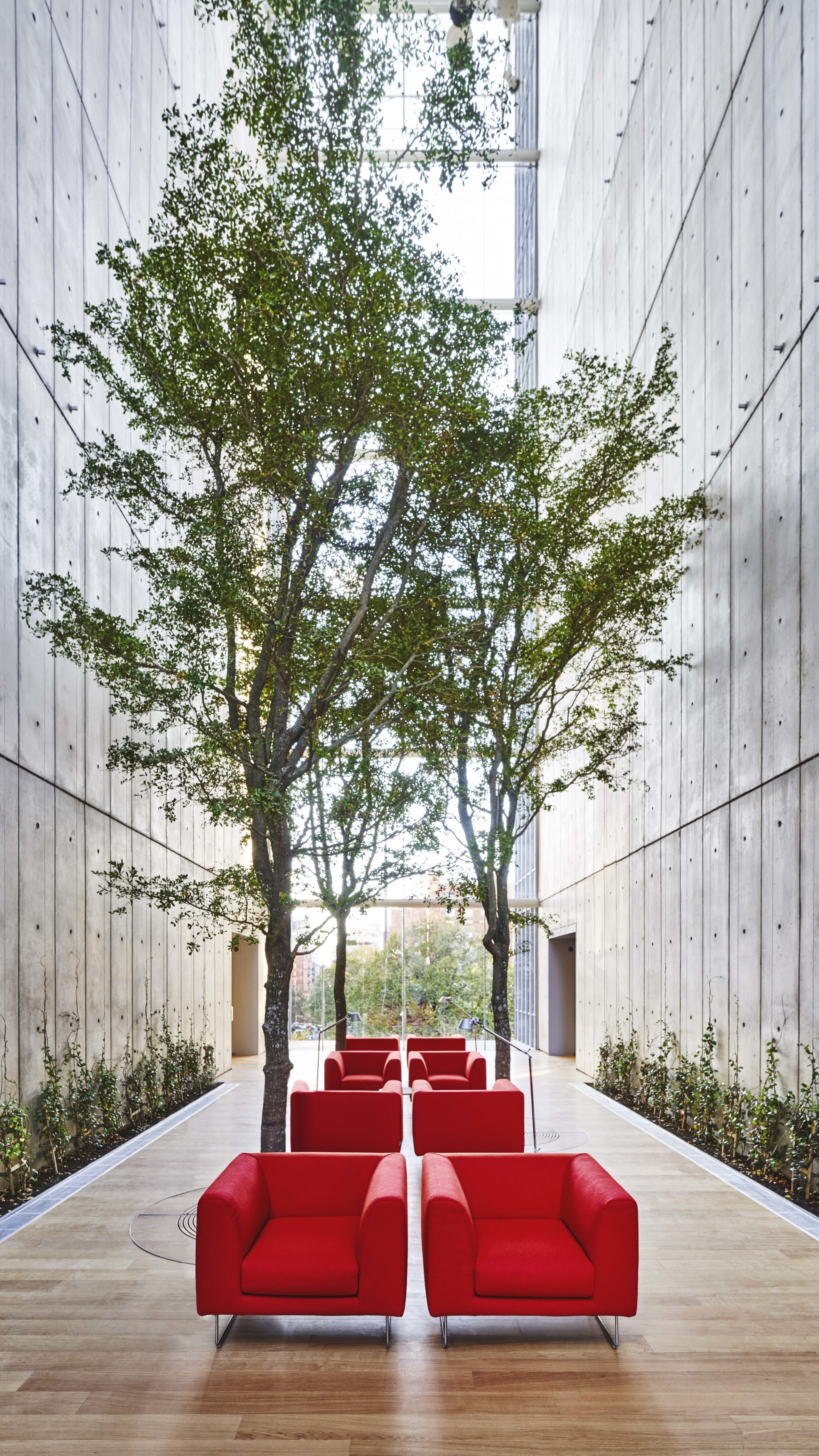 Exterior view of 565 Broome condominiums conservatory in New York City. Has red chairs in the middle and decorative trees.